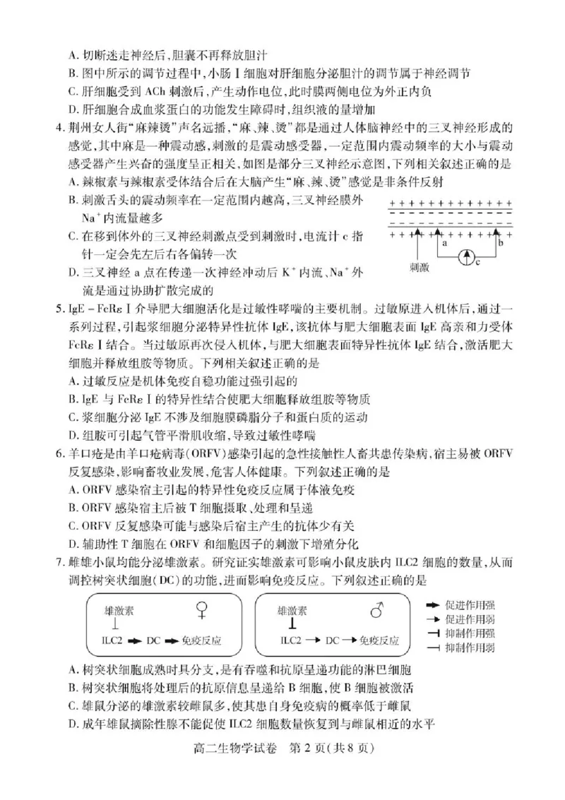 湖北省荆州市2024-2025学年高二下学期7月期末质量检测生物试题（含答案）_2025年7月_250702湖北省荆州市2024-2025学年高二下学期7月期末考试（全科）