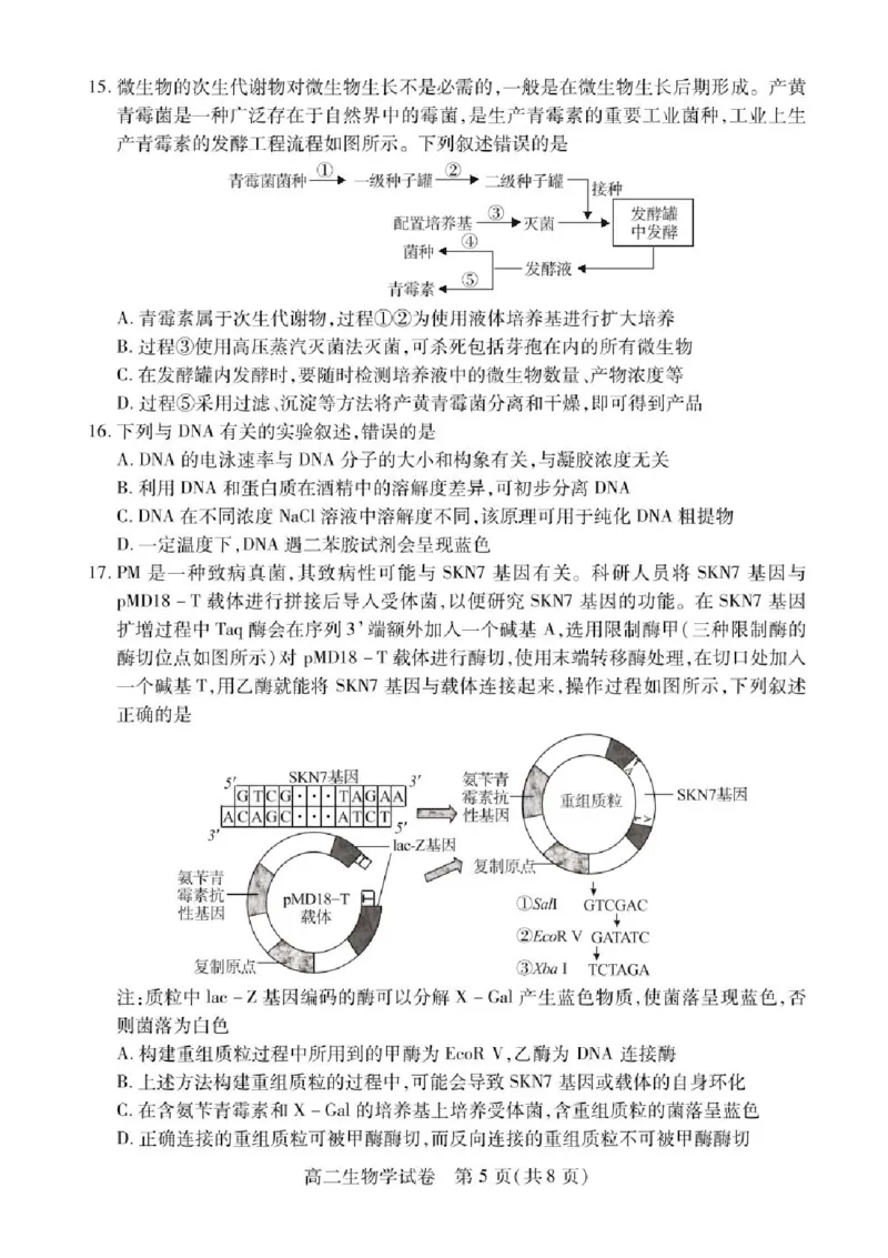 湖北省荆州市2024-2025学年高二下学期7月期末质量检测生物试题（含答案）_2025年7月_250702湖北省荆州市2024-2025学年高二下学期7月期末考试（全科）