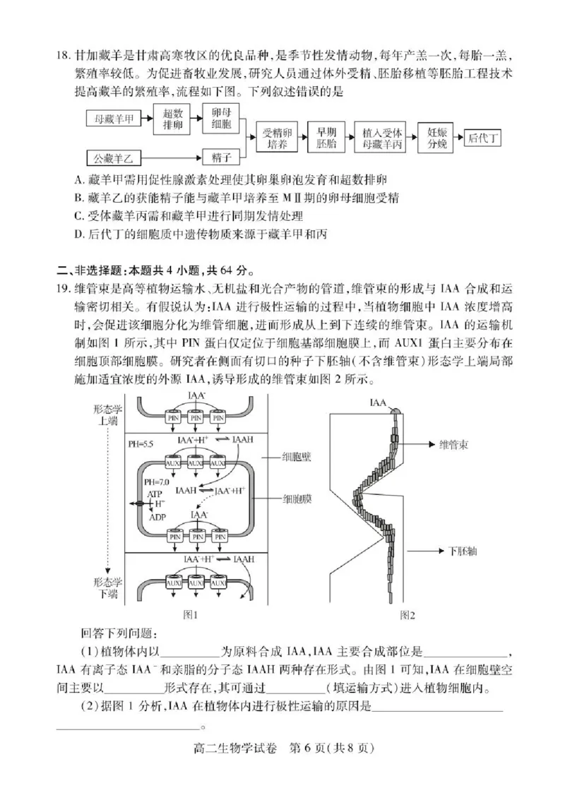 湖北省荆州市2024-2025学年高二下学期7月期末质量检测生物试题（含答案）_2025年7月_250702湖北省荆州市2024-2025学年高二下学期7月期末考试（全科）