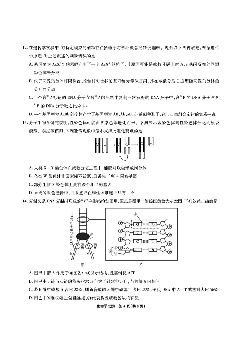 生物安徽省江淮十校2026届高三第二次考试（11月份期中质量检测）_251115安徽省江淮十校2026届高三第二次考试（11月份期中质量检测）（全科）