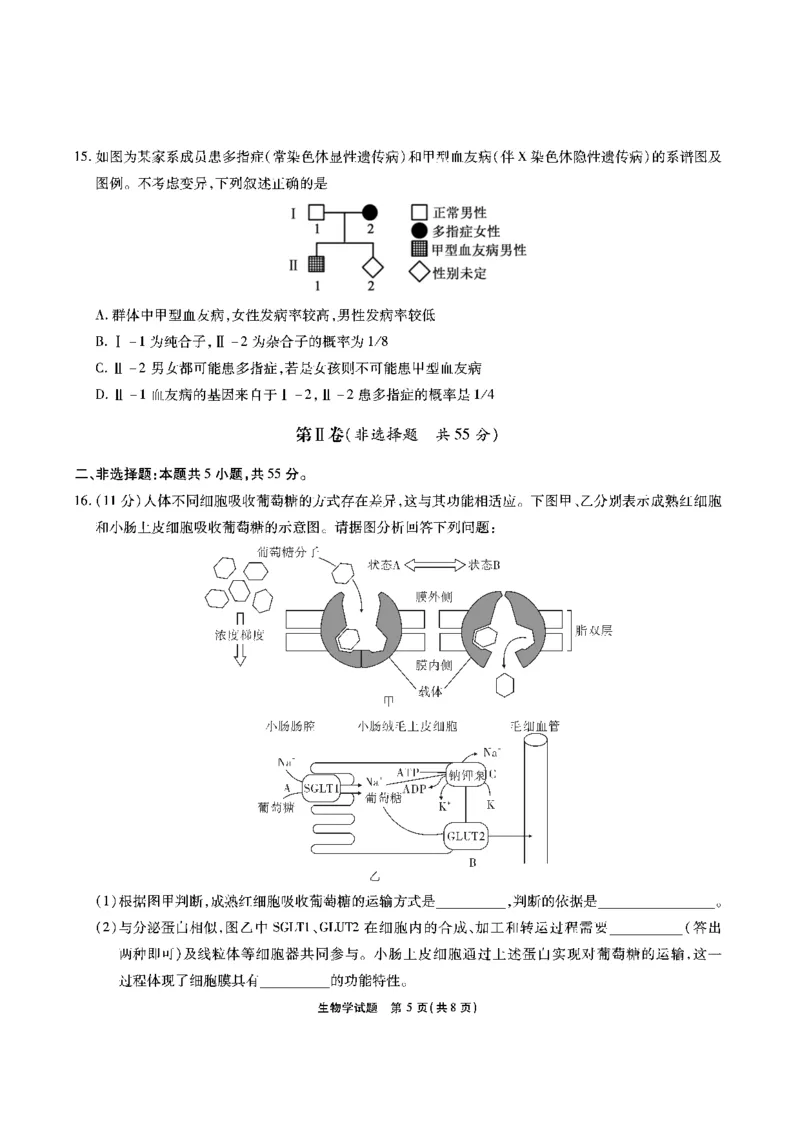 生物安徽省江淮十校2026届高三第二次考试（11月份期中质量检测）_251115安徽省江淮十校2026届高三第二次考试（11月份期中质量检测）（全科）