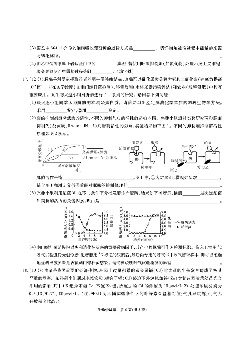 生物安徽省江淮十校2026届高三第二次考试（11月份期中质量检测）_251115安徽省江淮十校2026届高三第二次考试（11月份期中质量检测）（全科）