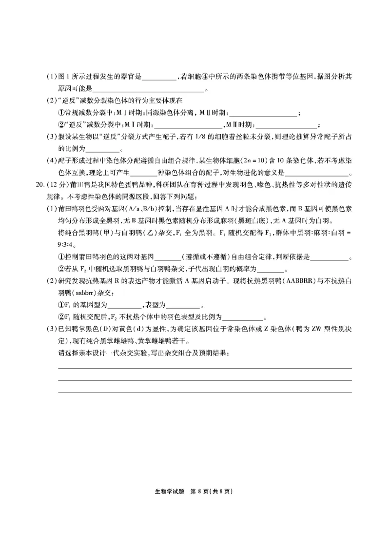 生物安徽省江淮十校2026届高三第二次考试（11月份期中质量检测）_251115安徽省江淮十校2026届高三第二次考试（11月份期中质量检测）（全科）