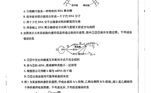 河南省周口市重点高中2025-2026学年高三上学期11月期中生物试题_251111河南陕西2025-2026学年（上）高三年级天一小高考（二）_2025-2026学年（上）高三年级天一小高考（二）生物试题+答案