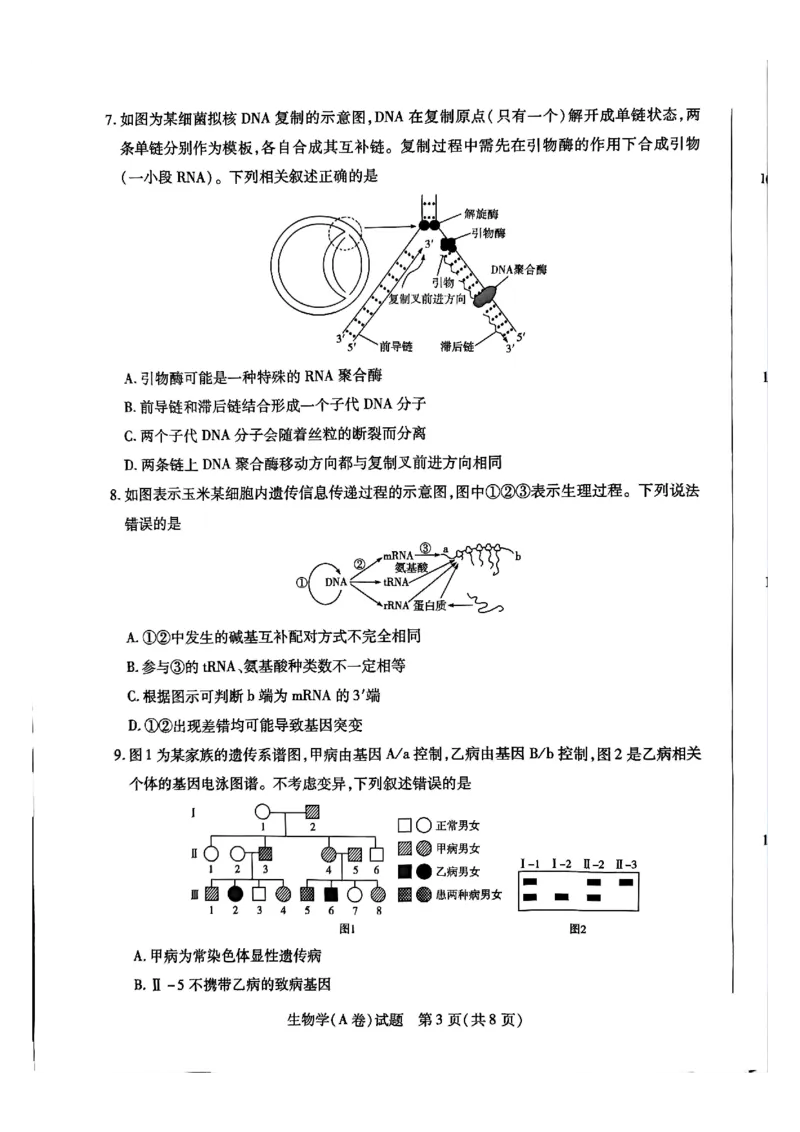 河南省周口市重点高中2025-2026学年高三上学期11月期中生物试题_251111河南陕西2025-2026学年（上）高三年级天一小高考（二）_2025-2026学年（上）高三年级天一小高考（二）生物试题+答案