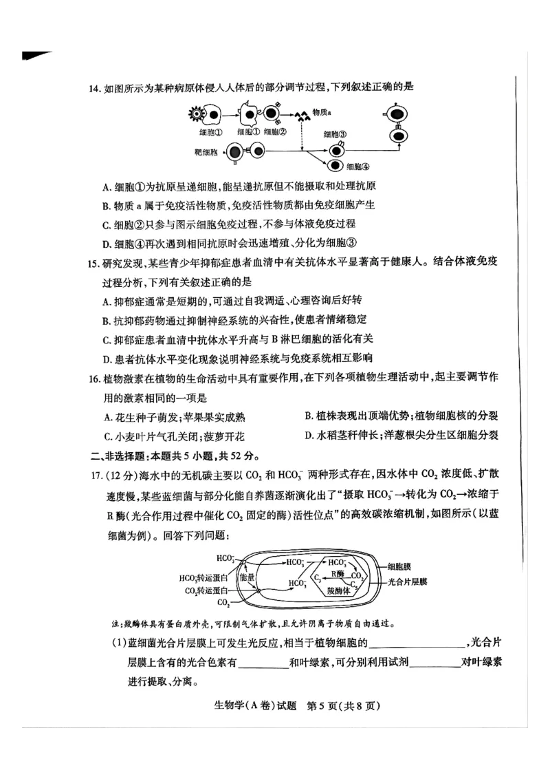 河南省周口市重点高中2025-2026学年高三上学期11月期中生物试题_251111河南陕西2025-2026学年（上）高三年级天一小高考（二）_2025-2026学年（上）高三年级天一小高考（二）生物试题+答案