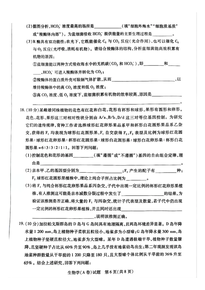 河南省周口市重点高中2025-2026学年高三上学期11月期中生物试题_251111河南陕西2025-2026学年（上）高三年级天一小高考（二）_2025-2026学年（上）高三年级天一小高考（二）生物试题+答案