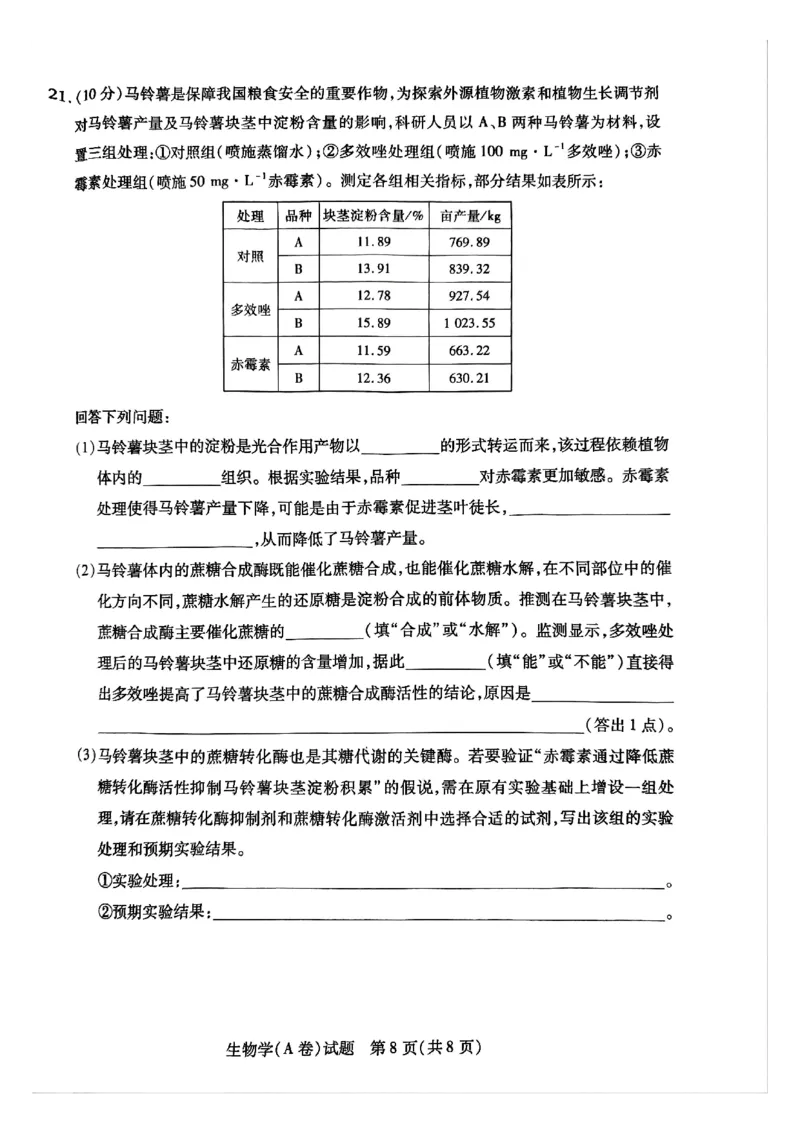 河南省周口市重点高中2025-2026学年高三上学期11月期中生物试题_251111河南陕西2025-2026学年（上）高三年级天一小高考（二）_2025-2026学年（上）高三年级天一小高考（二）生物试题+答案