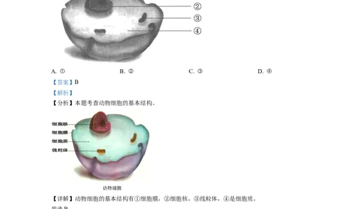 精品解析：2022年云南省中考生物真题（解析版）_中考真题_8.生物中考真题2015-2024年_2022年全国中考生物114份14