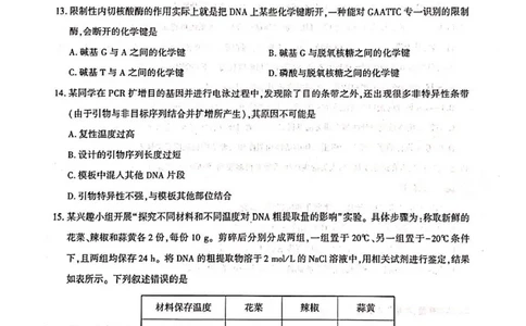 湖北省武汉市部分重点中学2024-2025学年高二下学期6月期末联考生物试卷（含答案）_2025年6月_250626湖北省（圆创教育）武汉市部分重点中学2024-2025学年高二下学期期末联考（全科）