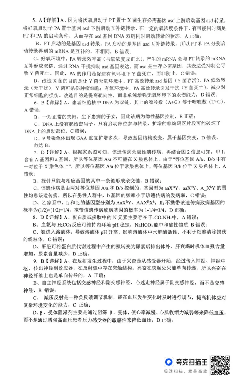 南阳市第一中学校2025-2026学年高三上学期第二次月考生物答案_2025年12月_251208河南省南阳市第一中学校2025-2026学年高三上学期第二次月考（全科)