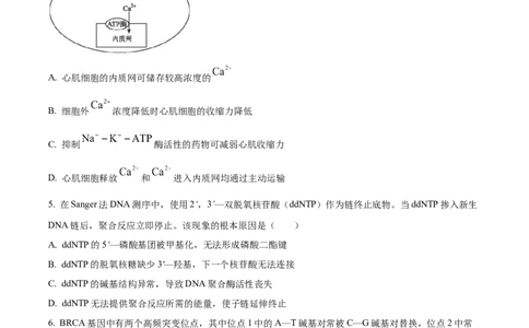 江苏基地联考26上12月生物原卷_2025年12月_251229江苏省新高考基地学校2026届高三上学期第一次大联考（全科）_江苏省新高考基地学校2026届高三上学期第一次大联考生物试卷（含答案）