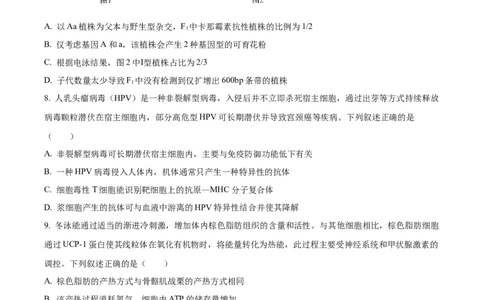江苏基地联考26上12月生物原卷_2025年12月_251229江苏省新高考基地学校2026届高三上学期第一次大联考（全科）_江苏省新高考基地学校2026届高三上学期第一次大联考生物试卷（含答案）