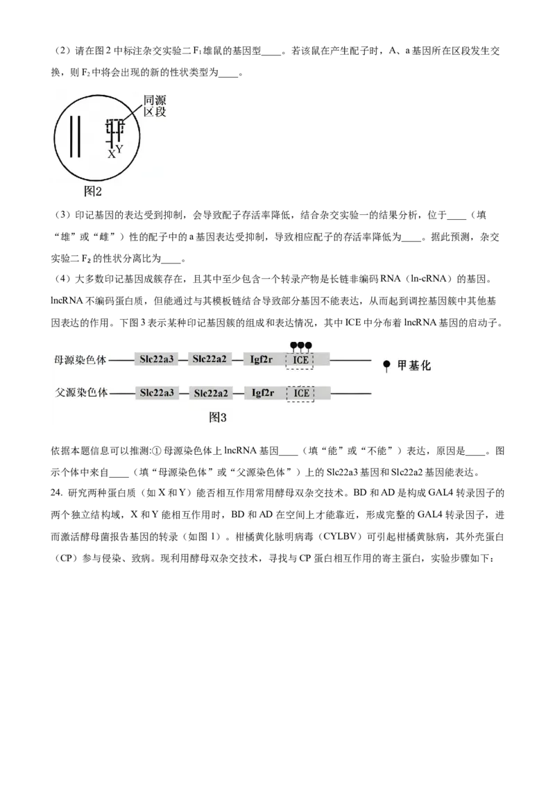 江苏基地联考26上12月生物原卷_2025年12月_251229江苏省新高考基地学校2026届高三上学期第一次大联考（全科）_江苏省新高考基地学校2026届高三上学期第一次大联考生物试卷（含答案）