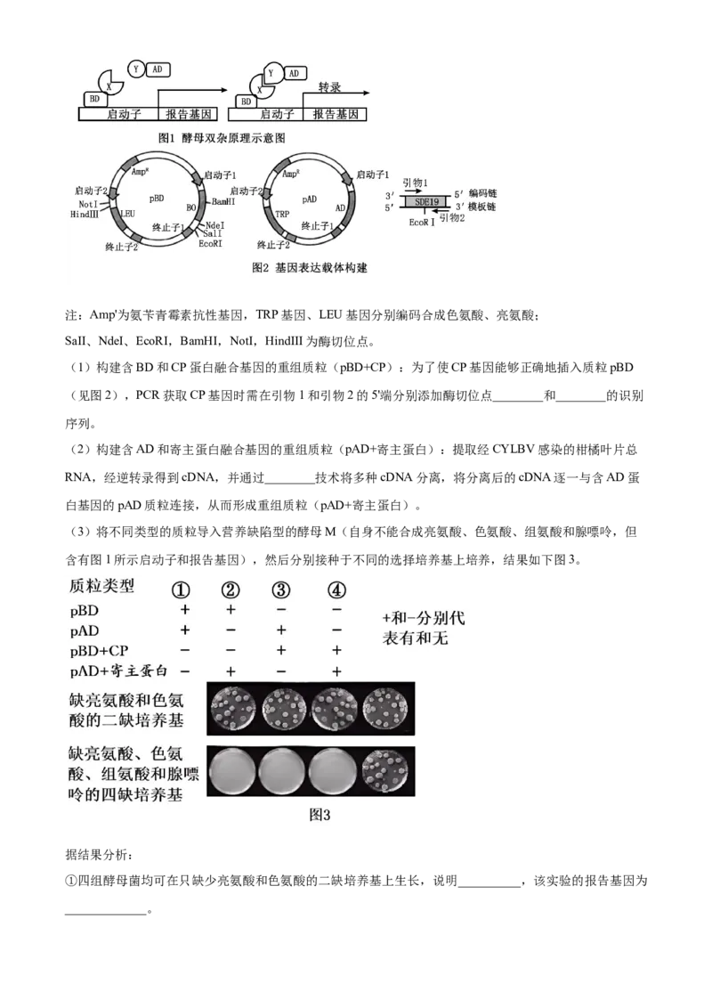 江苏基地联考26上12月生物原卷_2025年12月_251229江苏省新高考基地学校2026届高三上学期第一次大联考（全科）_江苏省新高考基地学校2026届高三上学期第一次大联考生物试卷（含答案）