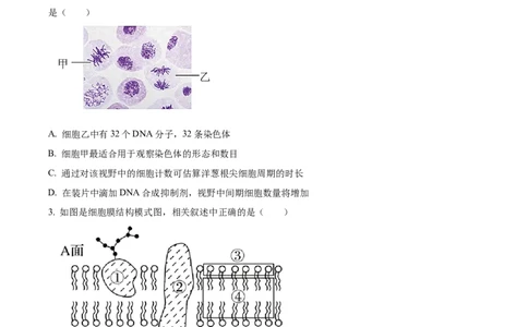 精品解析：河南省南阳市一中2023-2024学年高三12月月考生物试题（原卷版）_2024届河南省南阳市第一中学校高三上学期12月月考_河南省南阳市一中2023-2024学年高三12月月考生物试题