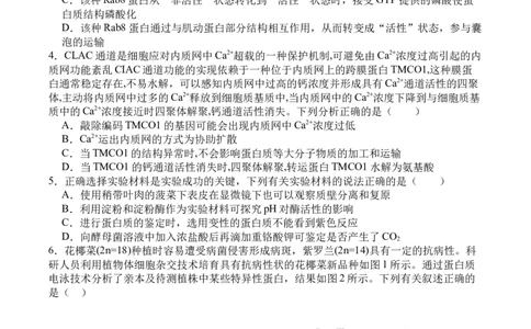 四川省广安市广安区等3地2024-2025学年高二下学期7月期末生物试题_2025年7月_250723四川省广安市广安区、前锋区、武胜县等3地2024-2025学年高二下学期7月期末考试（全科）