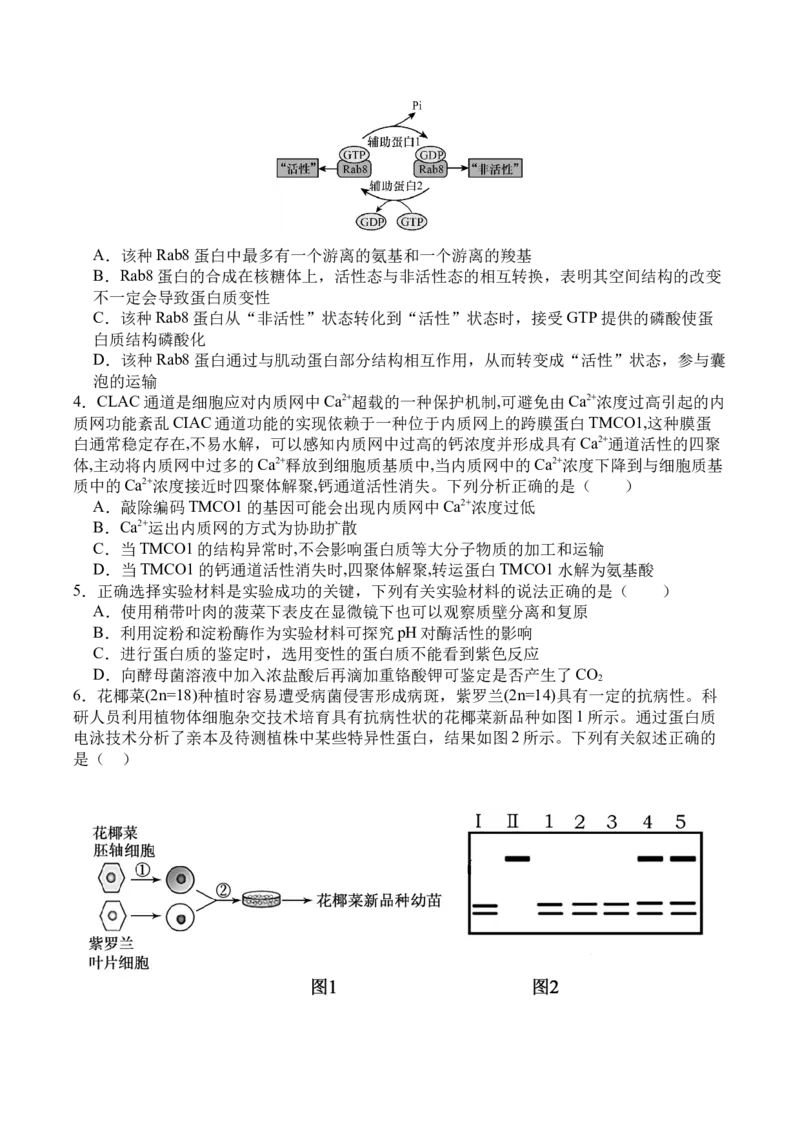 四川省广安市广安区等3地2024-2025学年高二下学期7月期末生物试题_2025年7月_250723四川省广安市广安区、前锋区、武胜县等3地2024-2025学年高二下学期7月期末考试（全科）