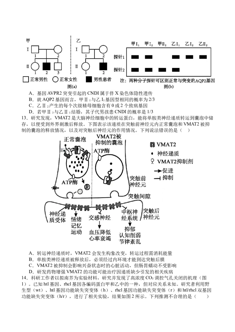 四川省广安市广安区等3地2024-2025学年高二下学期7月期末生物试题_2025年7月_250723四川省广安市广安区、前锋区、武胜县等3地2024-2025学年高二下学期7月期末考试（全科）