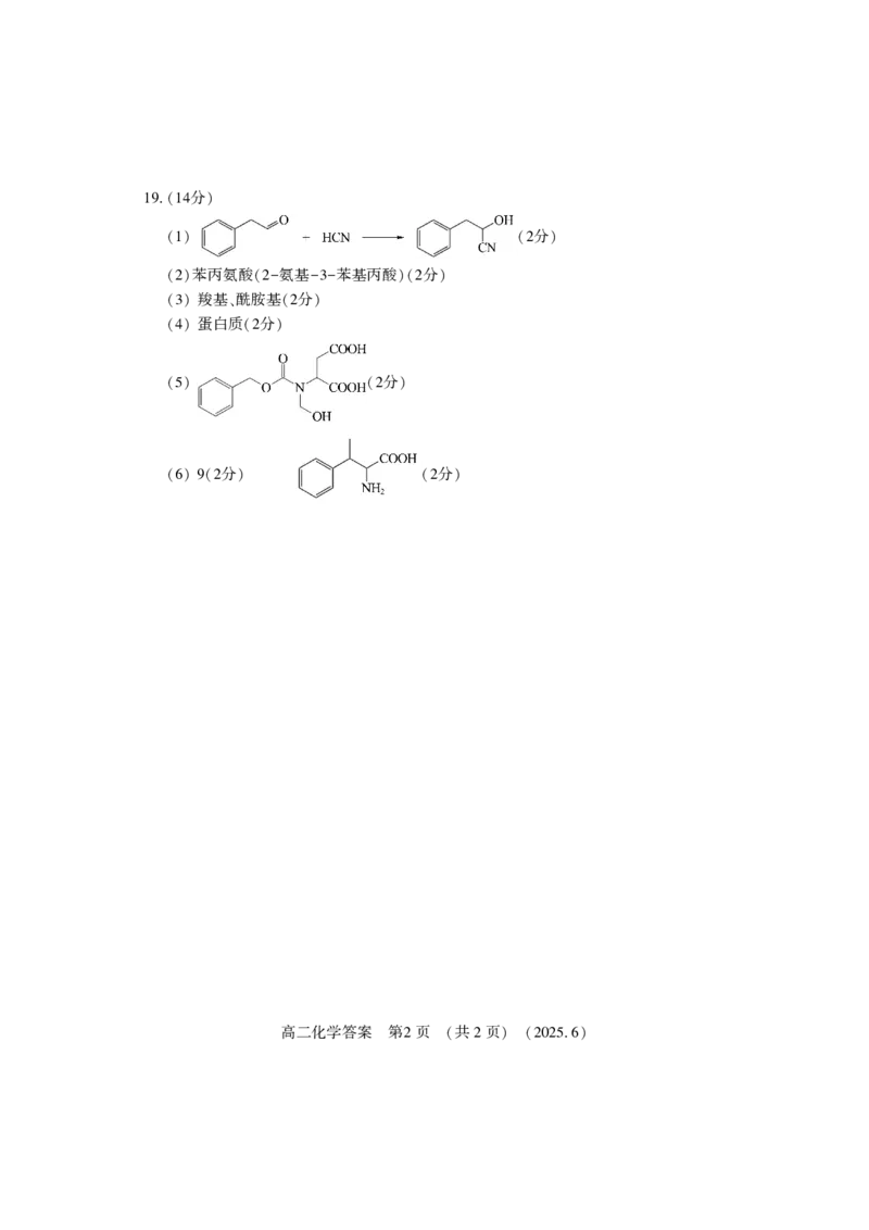 洛阳2024-2025学年6月高二质量检测-化学答案_2025年6月_250614河南洛阳市2024-2025学年6月高二质量检测（全科）(1)