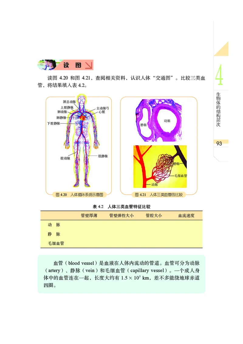 武汉版8年级科学上册高清教材_4-教培资料-26年最新资料-同步更新_初中高中教资_03科三专项（进去保存报考的学科即可）_02科三专项（笔记真题思维导图教学设计版本二）