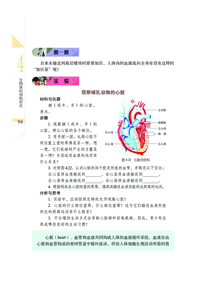 武汉版8年级科学上册高清教材_4-教培资料-26年最新资料-同步更新_初中高中教资_03科三专项（进去保存报考的学科即可）_02科三专项（笔记真题思维导图教学设计版本二）