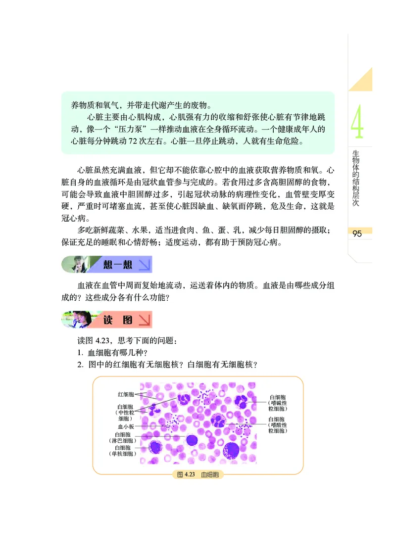 武汉版8年级科学上册高清教材_4-教培资料-26年最新资料-同步更新_初中高中教资_03科三专项（进去保存报考的学科即可）_02科三专项（笔记真题思维导图教学设计版本二）