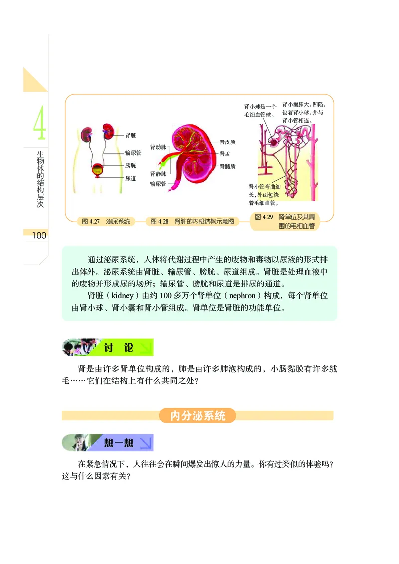 武汉版8年级科学上册高清教材_4-教培资料-26年最新资料-同步更新_初中高中教资_03科三专项（进去保存报考的学科即可）_02科三专项（笔记真题思维导图教学设计版本二）