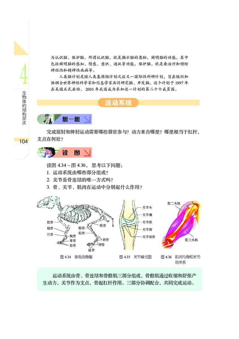 武汉版8年级科学上册高清教材_4-教培资料-26年最新资料-同步更新_初中高中教资_03科三专项（进去保存报考的学科即可）_02科三专项（笔记真题思维导图教学设计版本二）