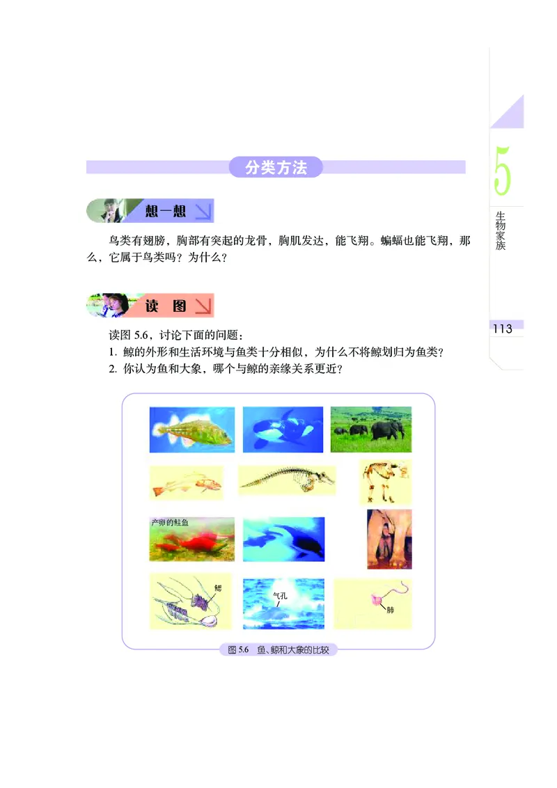 武汉版8年级科学上册高清教材_4-教培资料-26年最新资料-同步更新_初中高中教资_03科三专项（进去保存报考的学科即可）_02科三专项（笔记真题思维导图教学设计版本二）