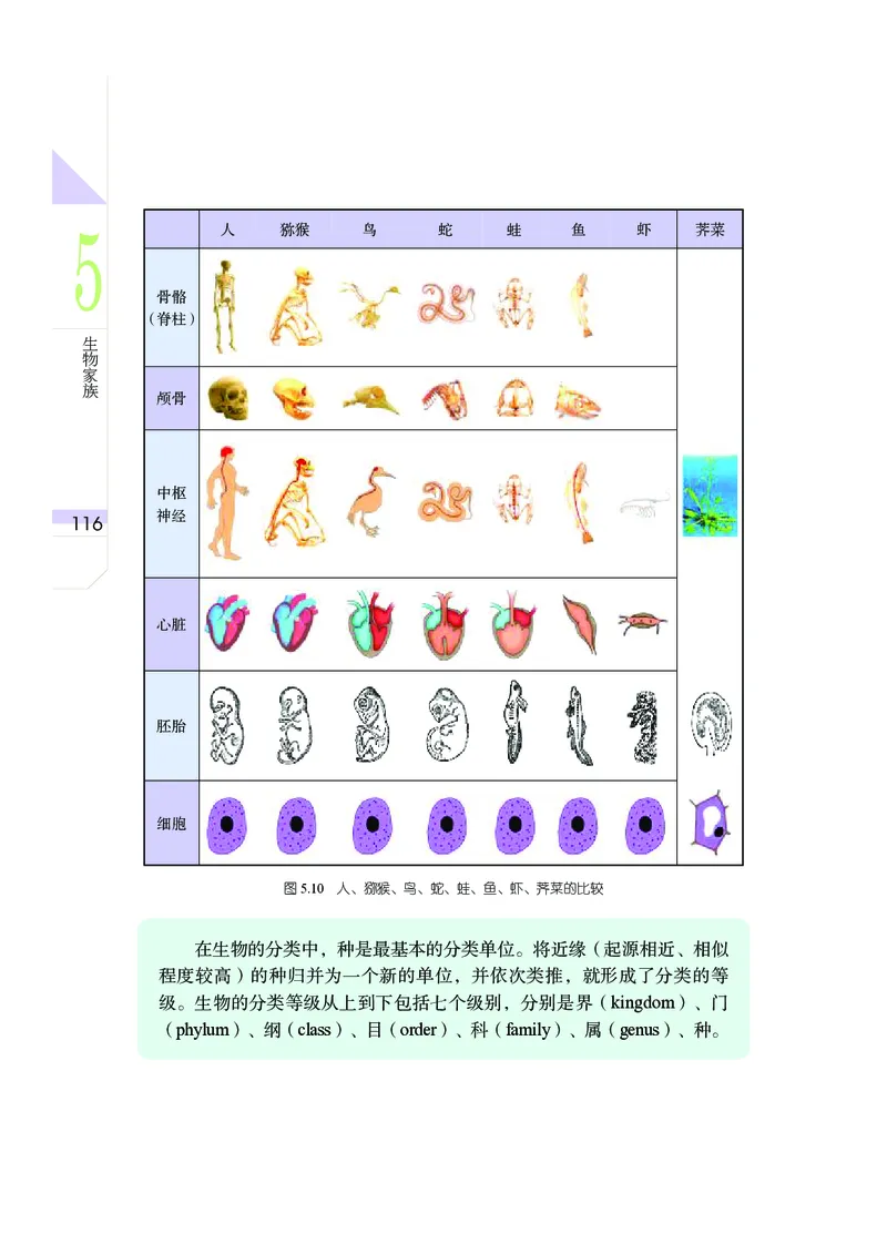 武汉版8年级科学上册高清教材_4-教培资料-26年最新资料-同步更新_初中高中教资_03科三专项（进去保存报考的学科即可）_02科三专项（笔记真题思维导图教学设计版本二）