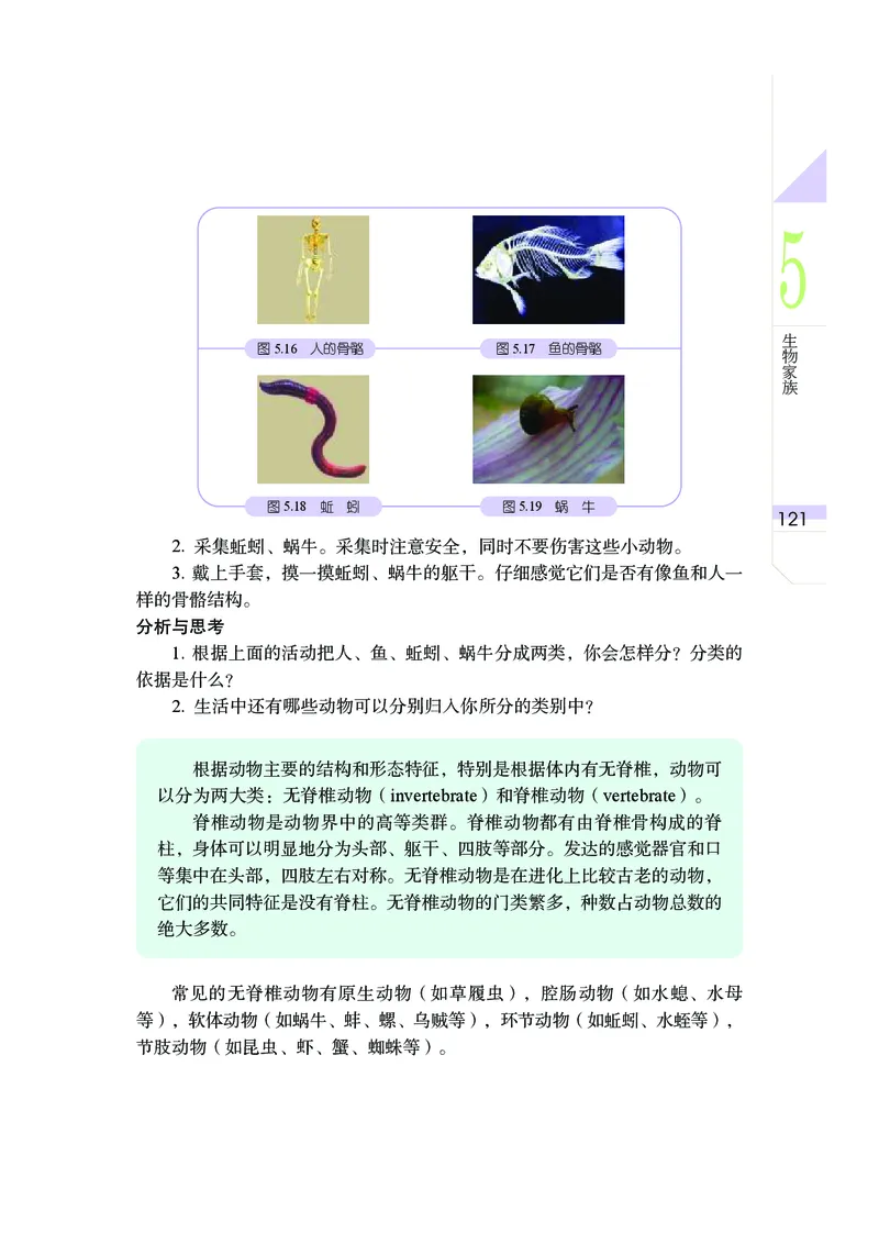武汉版8年级科学上册高清教材_4-教培资料-26年最新资料-同步更新_初中高中教资_03科三专项（进去保存报考的学科即可）_02科三专项（笔记真题思维导图教学设计版本二）
