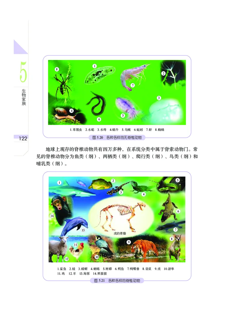 武汉版8年级科学上册高清教材_4-教培资料-26年最新资料-同步更新_初中高中教资_03科三专项（进去保存报考的学科即可）_02科三专项（笔记真题思维导图教学设计版本二）