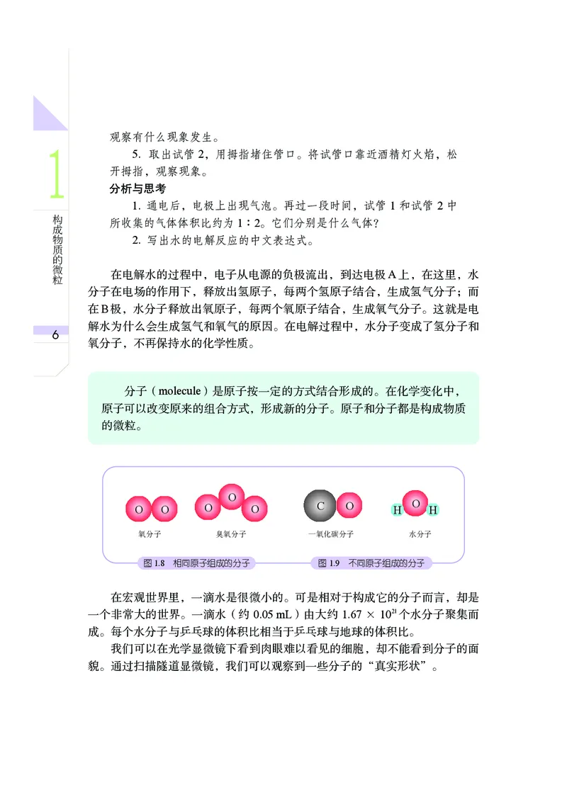 武汉版8年级科学上册高清教材_4-教培资料-26年最新资料-同步更新_初中高中教资_03科三专项（进去保存报考的学科即可）_02科三专项（笔记真题思维导图教学设计版本二）