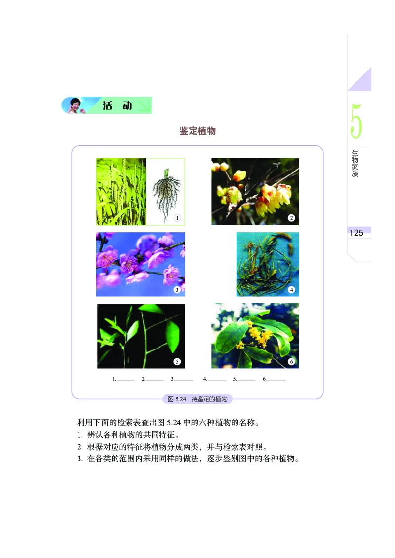 武汉版8年级科学上册高清教材_4-教培资料-26年最新资料-同步更新_初中高中教资_03科三专项（进去保存报考的学科即可）_02科三专项（笔记真题思维导图教学设计版本二）