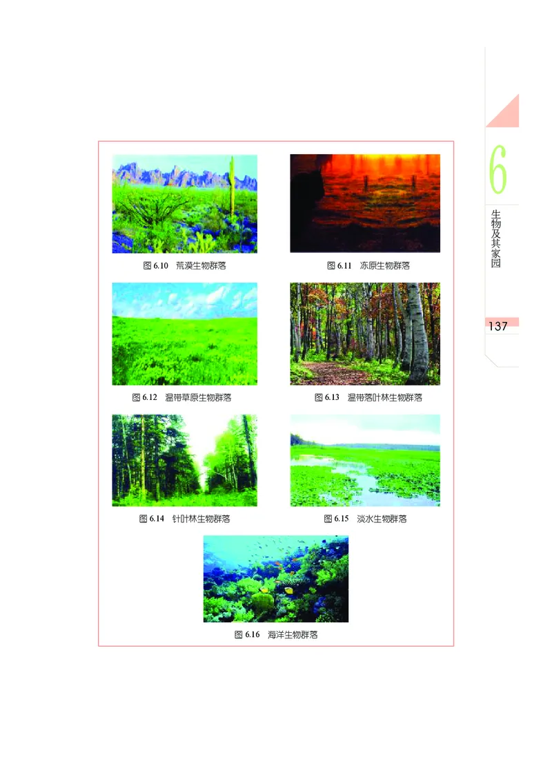 武汉版8年级科学上册高清教材_4-教培资料-26年最新资料-同步更新_初中高中教资_03科三专项（进去保存报考的学科即可）_02科三专项（笔记真题思维导图教学设计版本二）