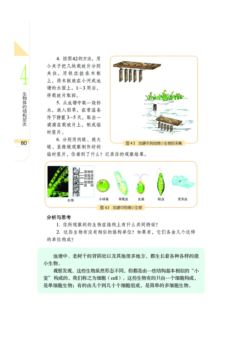 武汉版8年级科学上册高清教材_4-教培资料-26年最新资料-同步更新_初中高中教资_03科三专项（进去保存报考的学科即可）_02科三专项（笔记真题思维导图教学设计版本二）