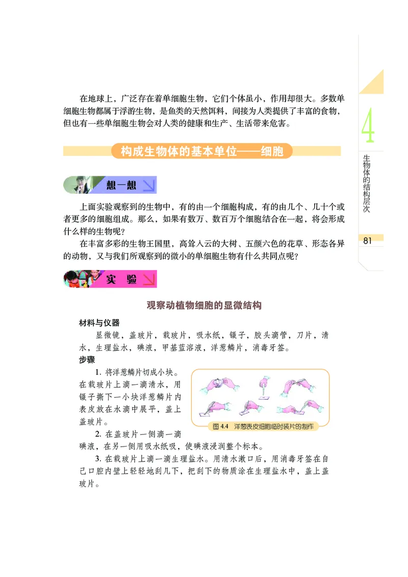 武汉版8年级科学上册高清教材_4-教培资料-26年最新资料-同步更新_初中高中教资_03科三专项（进去保存报考的学科即可）_02科三专项（笔记真题思维导图教学设计版本二）