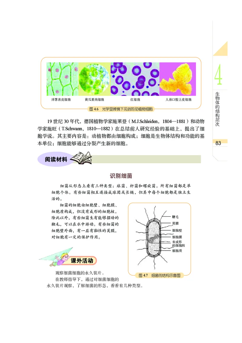 武汉版8年级科学上册高清教材_4-教培资料-26年最新资料-同步更新_初中高中教资_03科三专项（进去保存报考的学科即可）_02科三专项（笔记真题思维导图教学设计版本二）
