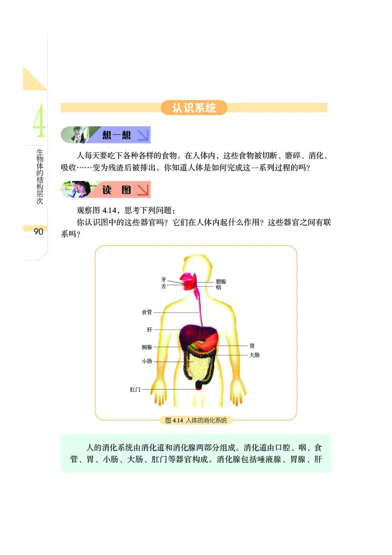 武汉版8年级科学上册高清教材_4-教培资料-26年最新资料-同步更新_初中高中教资_03科三专项（进去保存报考的学科即可）_02科三专项（笔记真题思维导图教学设计版本二）