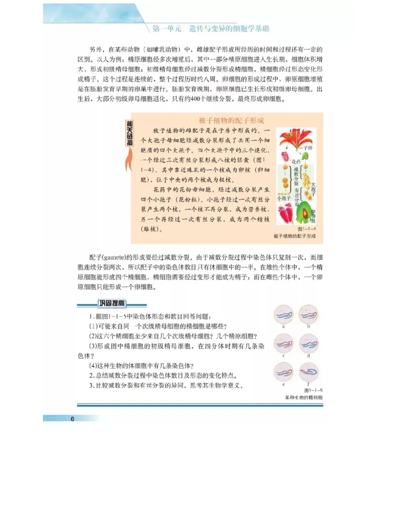 沪科版高中生物必修2《遗传与进化》电子课本_4-教培资料-26年最新资料-同步更新_初中高中教资_03科三专项（进去保存报考的学科即可）_112025高中科目（全）电子教材