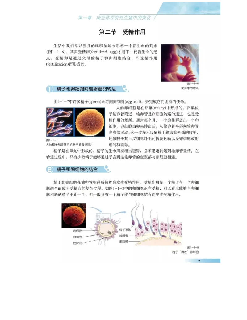 沪科版高中生物必修2《遗传与进化》电子课本_4-教培资料-26年最新资料-同步更新_初中高中教资_03科三专项（进去保存报考的学科即可）_112025高中科目（全）电子教材