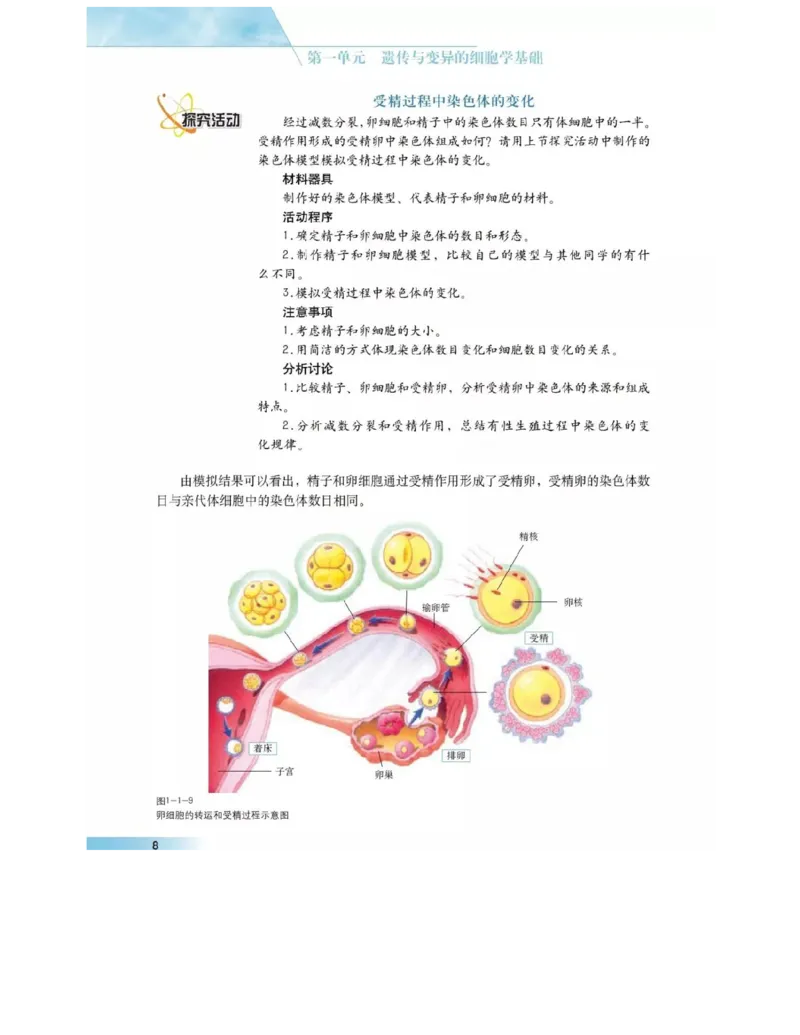沪科版高中生物必修2《遗传与进化》电子课本_4-教培资料-26年最新资料-同步更新_初中高中教资_03科三专项（进去保存报考的学科即可）_112025高中科目（全）电子教材