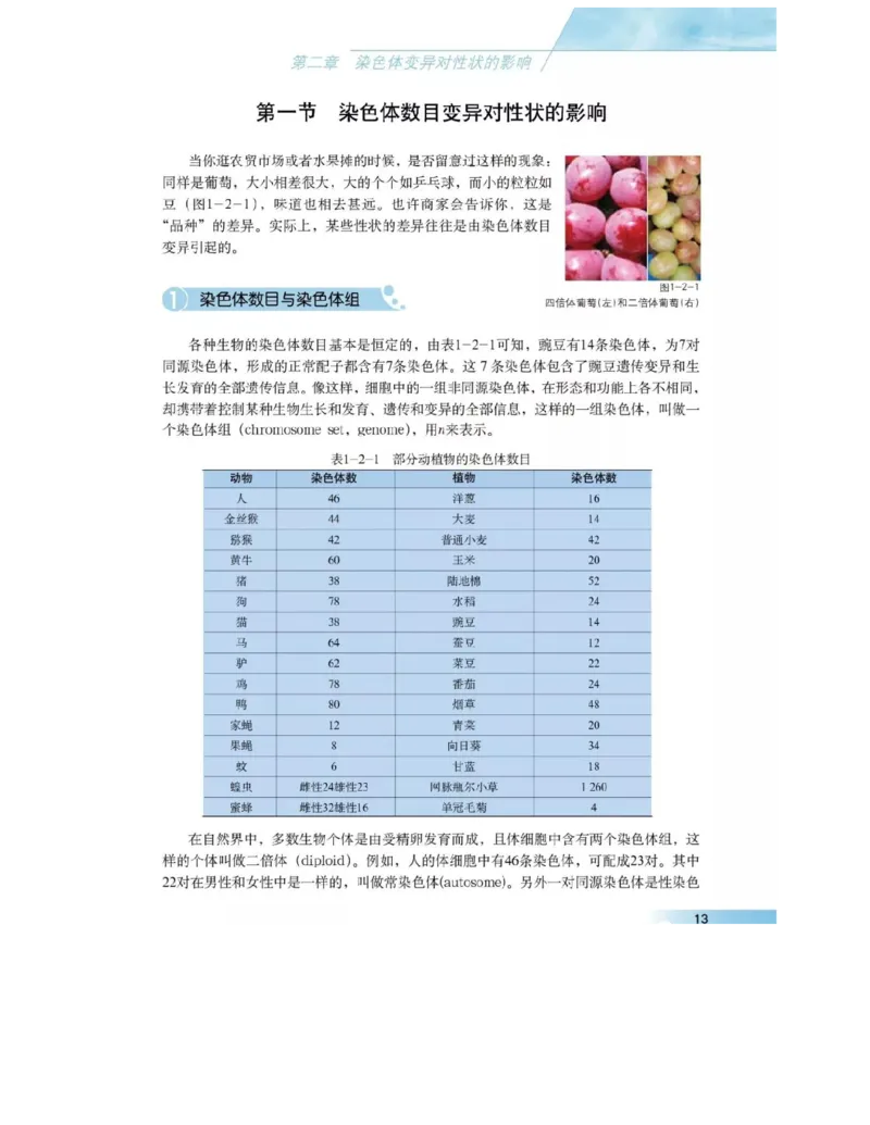 沪科版高中生物必修2《遗传与进化》电子课本_4-教培资料-26年最新资料-同步更新_初中高中教资_03科三专项（进去保存报考的学科即可）_112025高中科目（全）电子教材