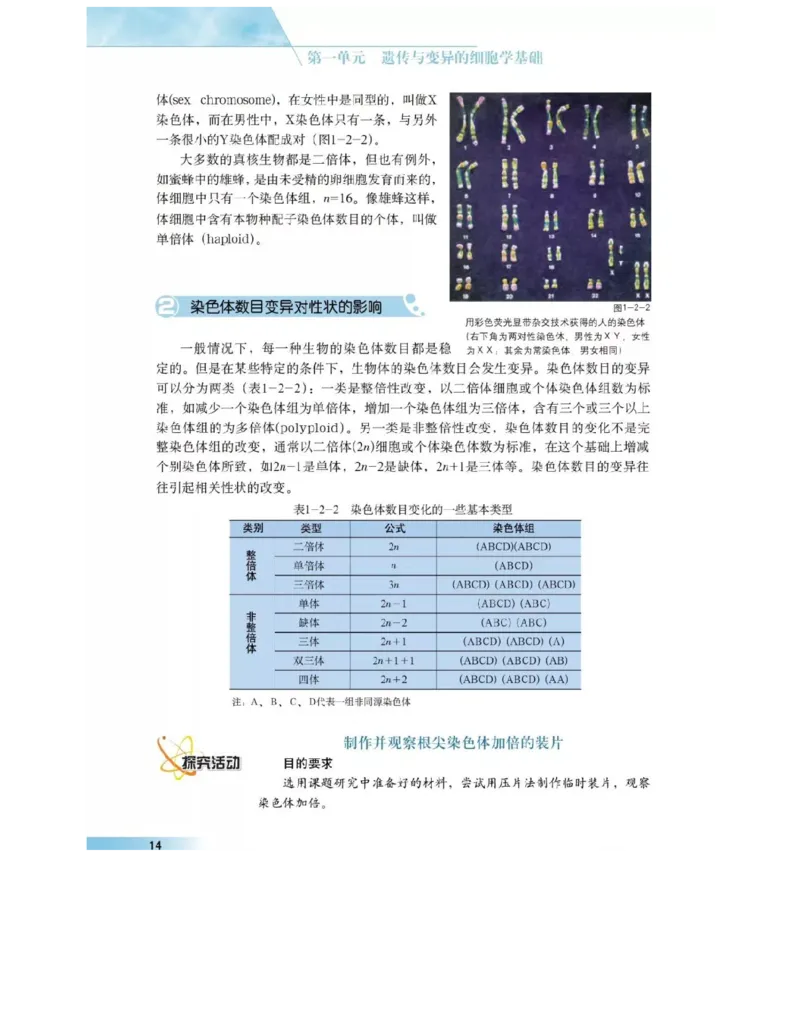 沪科版高中生物必修2《遗传与进化》电子课本_4-教培资料-26年最新资料-同步更新_初中高中教资_03科三专项（进去保存报考的学科即可）_112025高中科目（全）电子教材