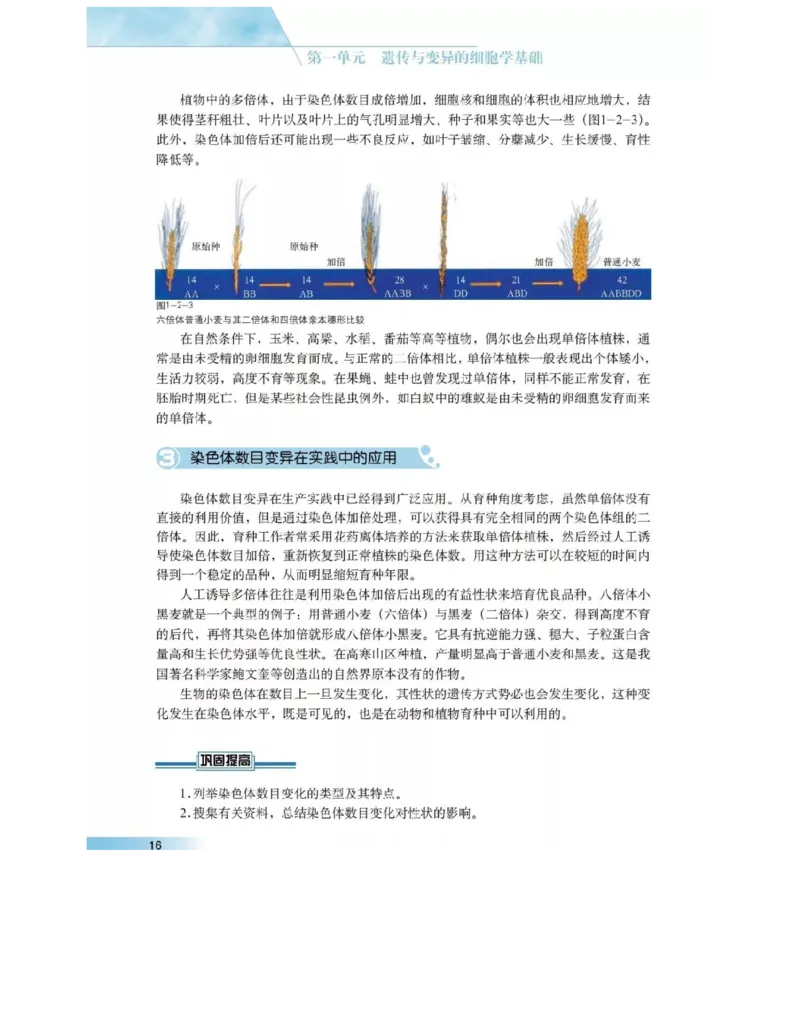 沪科版高中生物必修2《遗传与进化》电子课本_4-教培资料-26年最新资料-同步更新_初中高中教资_03科三专项（进去保存报考的学科即可）_112025高中科目（全）电子教材