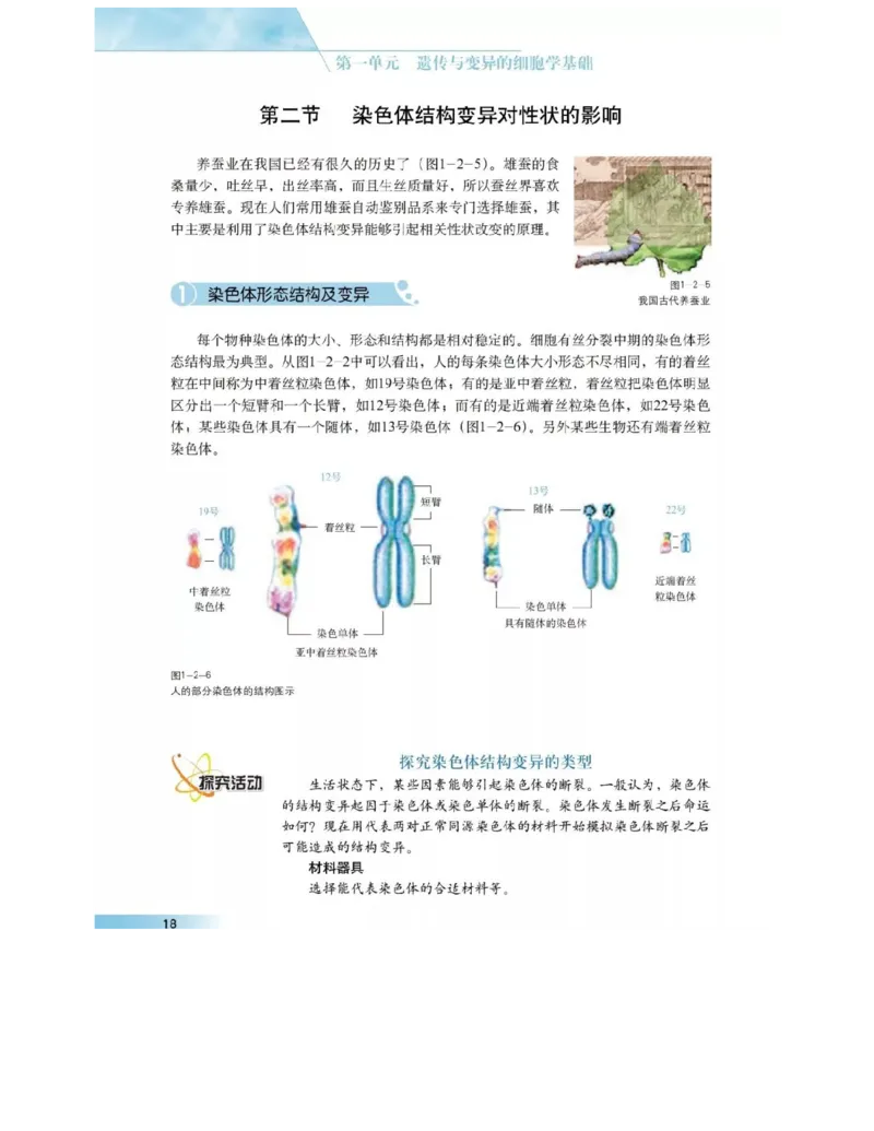沪科版高中生物必修2《遗传与进化》电子课本_4-教培资料-26年最新资料-同步更新_初中高中教资_03科三专项（进去保存报考的学科即可）_112025高中科目（全）电子教材