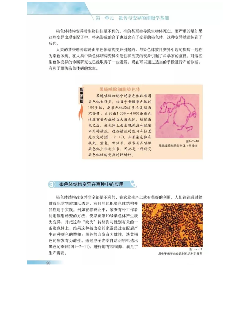 沪科版高中生物必修2《遗传与进化》电子课本_4-教培资料-26年最新资料-同步更新_初中高中教资_03科三专项（进去保存报考的学科即可）_112025高中科目（全）电子教材
