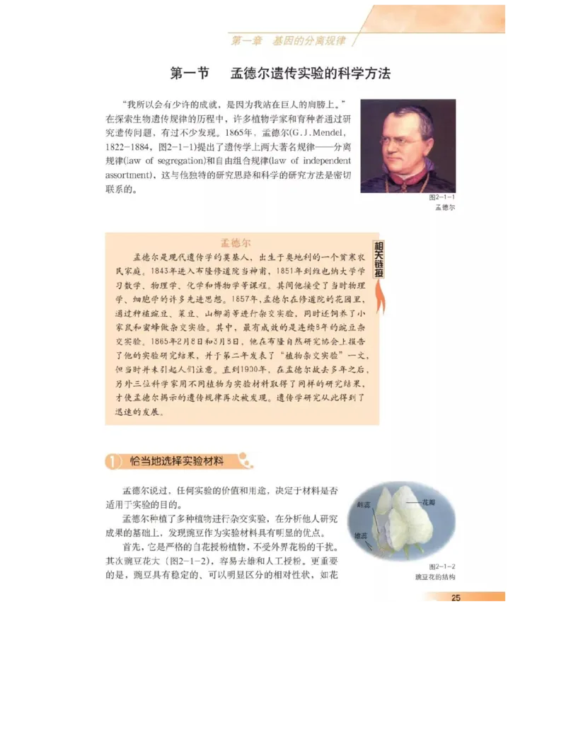 沪科版高中生物必修2《遗传与进化》电子课本_4-教培资料-26年最新资料-同步更新_初中高中教资_03科三专项（进去保存报考的学科即可）_112025高中科目（全）电子教材