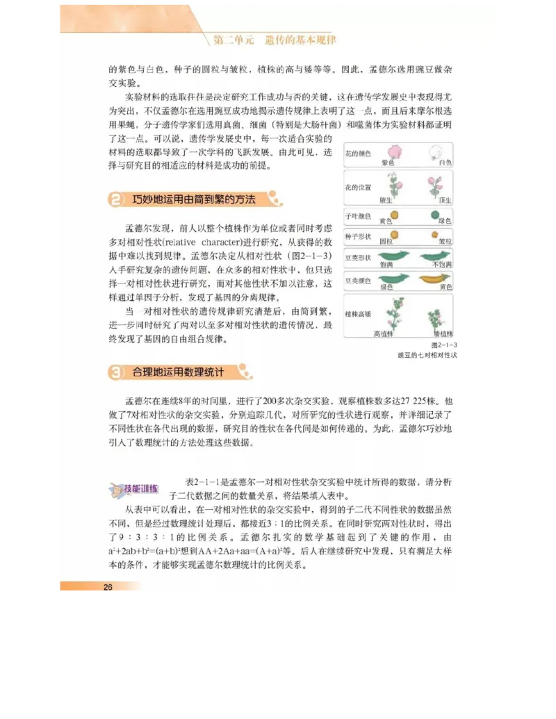 沪科版高中生物必修2《遗传与进化》电子课本_4-教培资料-26年最新资料-同步更新_初中高中教资_03科三专项（进去保存报考的学科即可）_112025高中科目（全）电子教材